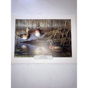 “October Sun” Ducks Print By Robert Hautman  8.5” X 11” Print Only
